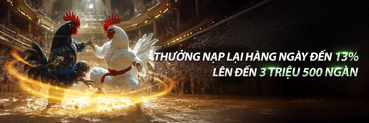 Hình ảnh tổng quan về win456 code