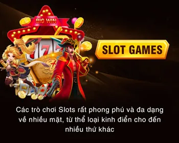 Giấy Phép Hoạt Động